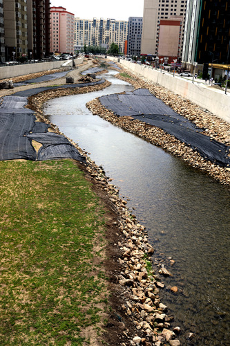 Costly engineering, careless ecology